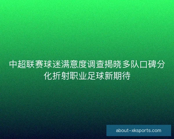 中超联赛球迷满意度调查揭晓多队口碑分化折射职业足球新期待