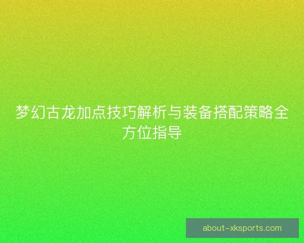 梦幻古龙加点技巧解析与装备搭配策略全方位指导